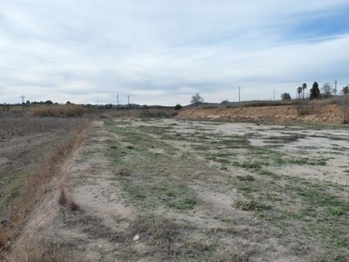 Alfarrasí Vall D''albaida tomt foto 6263499