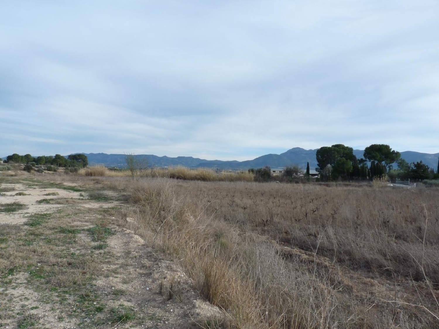  till salu tomt Alfarrasí Vall D'albaida 6