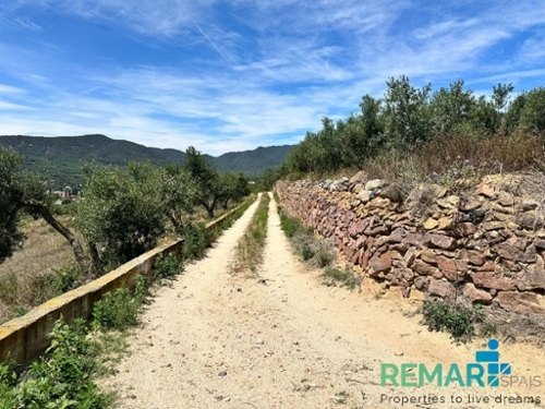 Alforja Baix Camp tomt foto 6238479