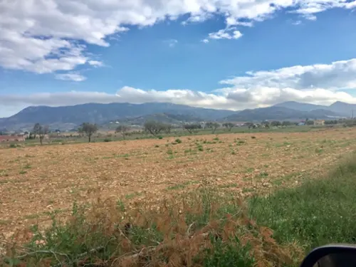 La Romana Vinalopó Mitjà tomt foto 6190343