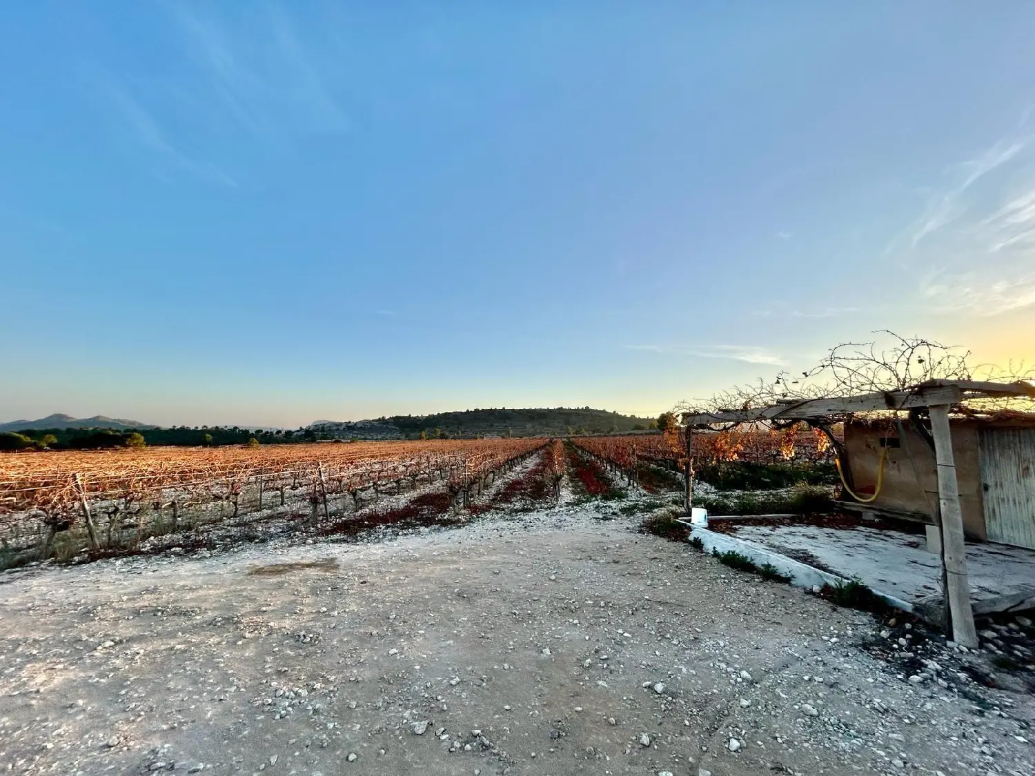  till salu tomt La Romana Vinalopó Mitjà 5