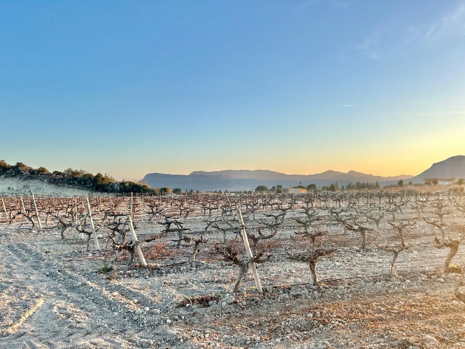 till salu tomt La Romana Vinalopó Mitjà 3