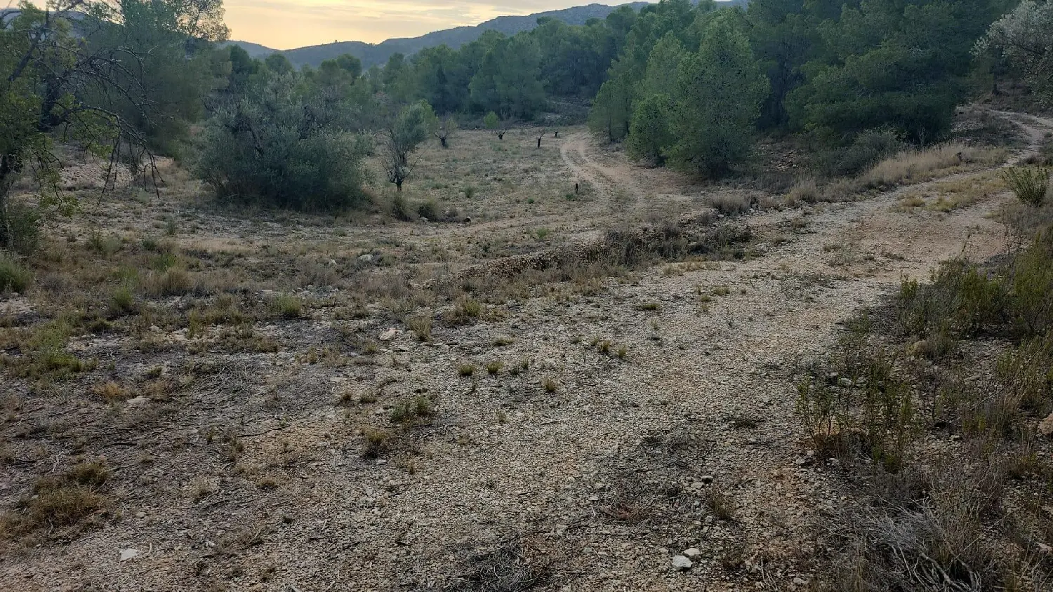  till salu tomt La Romana Vinalopó Mitjà 8