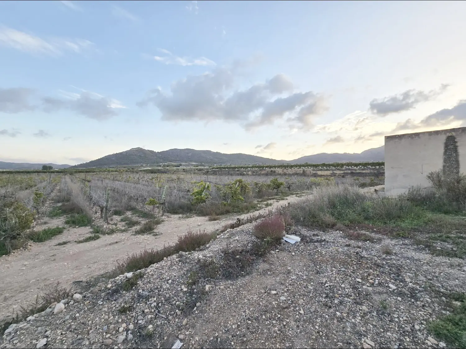 till salu tomt La Romana Vinalopó Mitjà 3