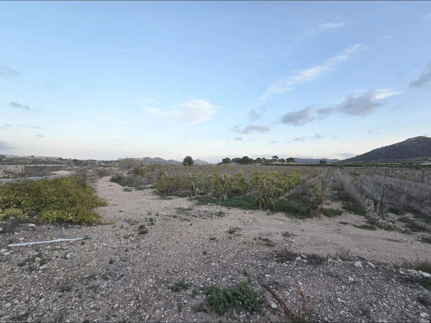  till salu tomt La Romana Vinalopó Mitjà 1