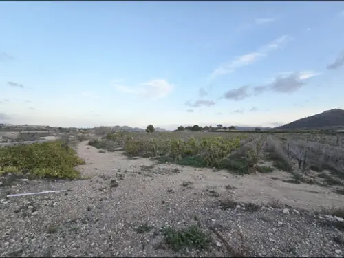La Romana Vinalopó Mitjà tomt foto 6190726