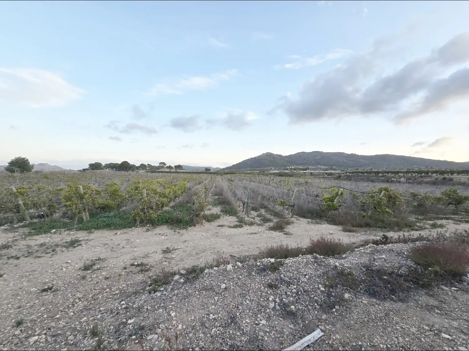 till salu tomt La Romana Vinalopó Mitjà 2