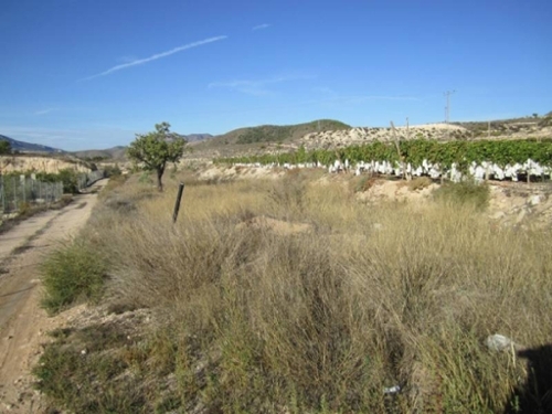 Algayat Vinalopó Mitjà tomt foto 6226714