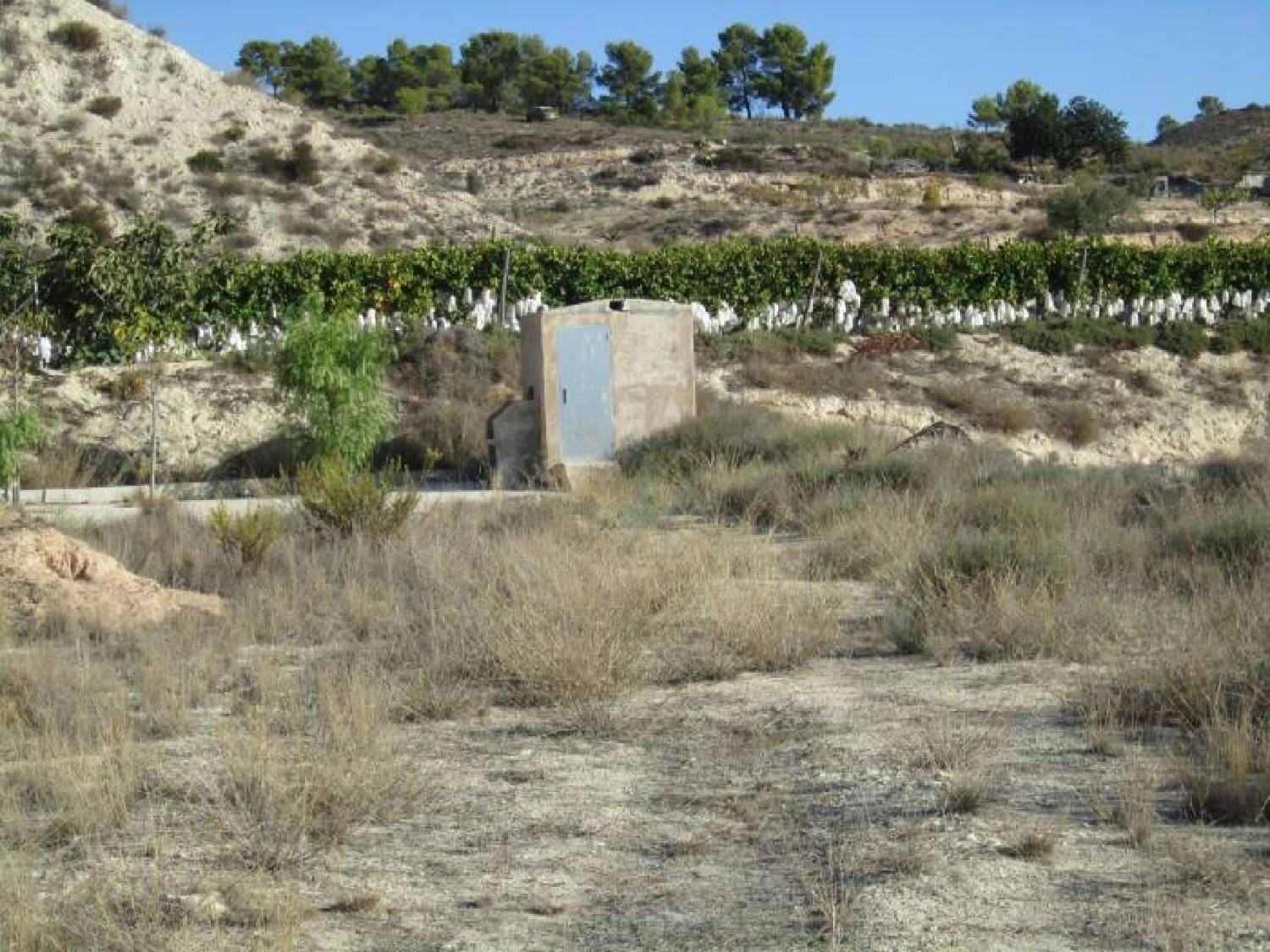  till salu tomt Algayat Vinalopó Mitjà 4