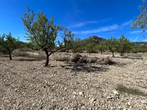 Algayat Vinalopó Mitjà tomt foto 6176711