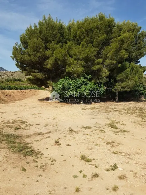 La Romana Vinalopó Mitjà tomt foto 6191246