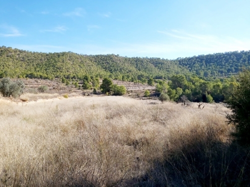 Algayat Vinalopó Mitjà tomt foto 6227116