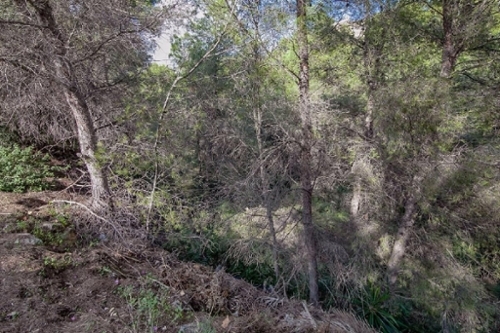 Algueña Vinalopó Mitjà tomt foto 6261199