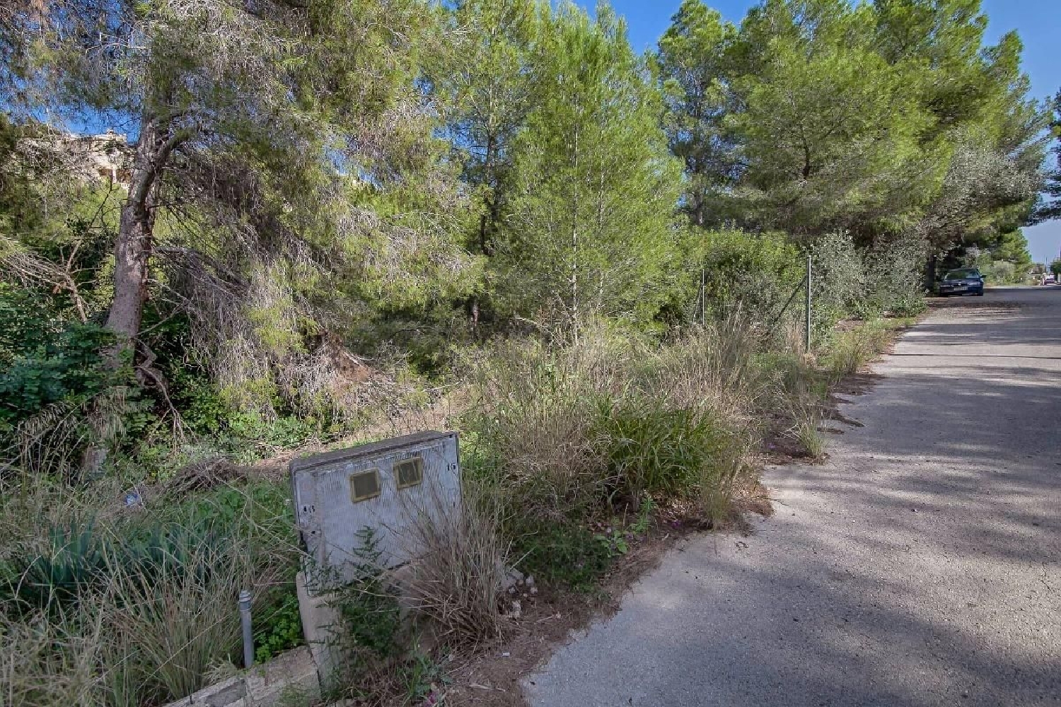 till salu tomt Algueña Vinalopó Mitjà 3
