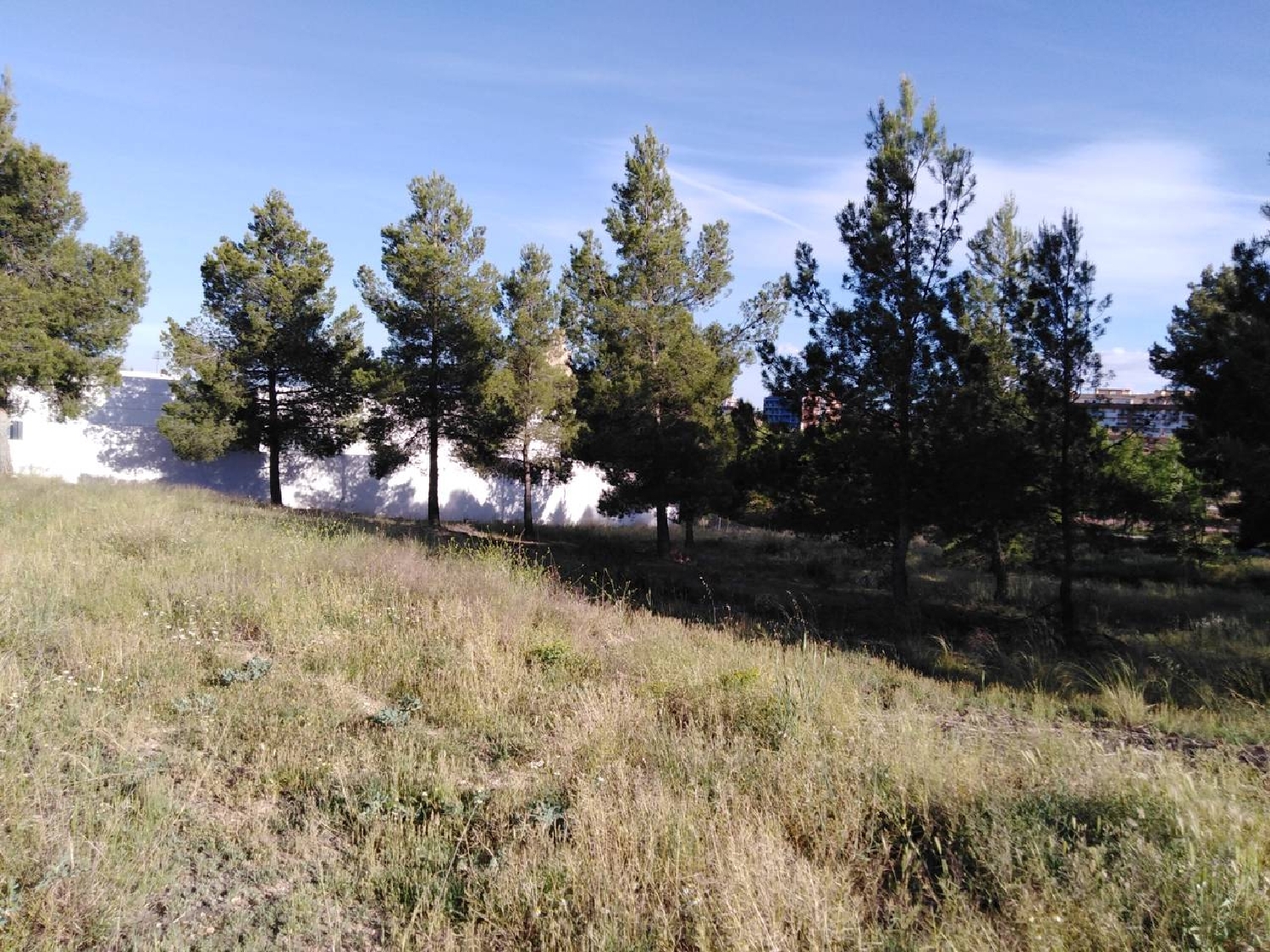  till salu tomt Almansa Monte Ibérico Almansa 4