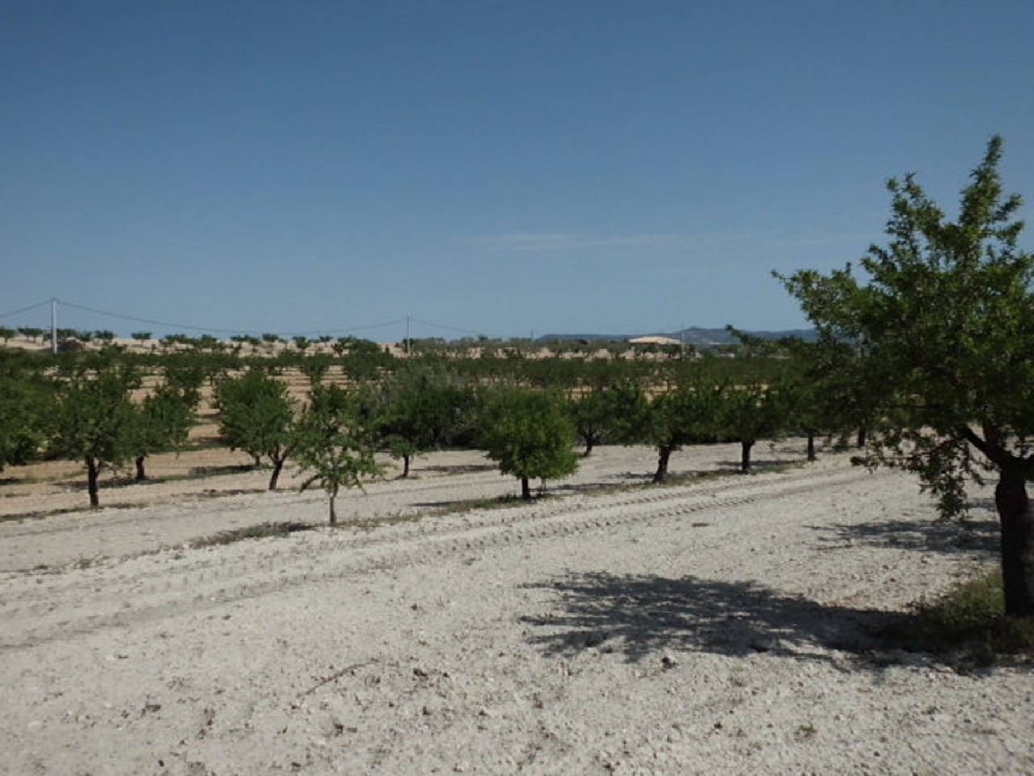  till salu tomt Almansa Monte Ibérico Almansa 4