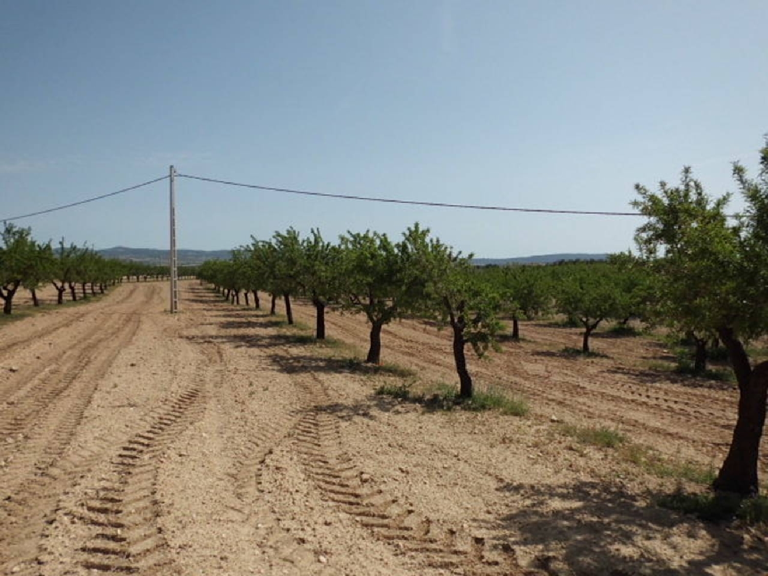 till salu tomt Almansa Monte Ibérico Almansa 3