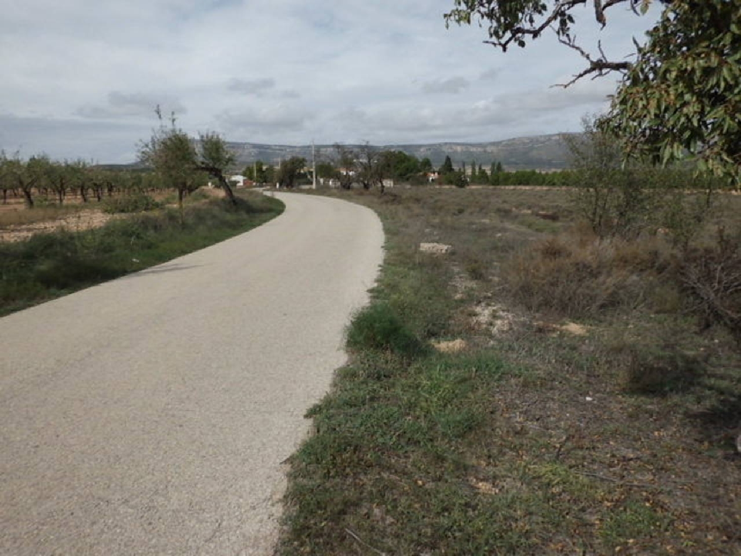 till salu tomt Almansa Monte Ibérico Almansa 3