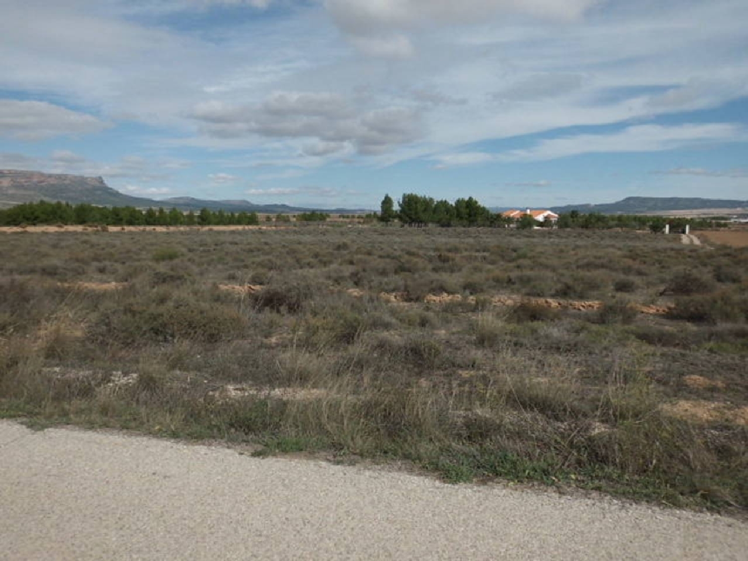  till salu tomt Almansa Monte Ibérico Almansa 1