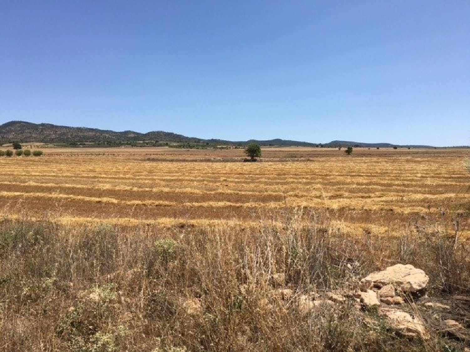  till salu tomt Almansa Monte Ibérico Almansa 1