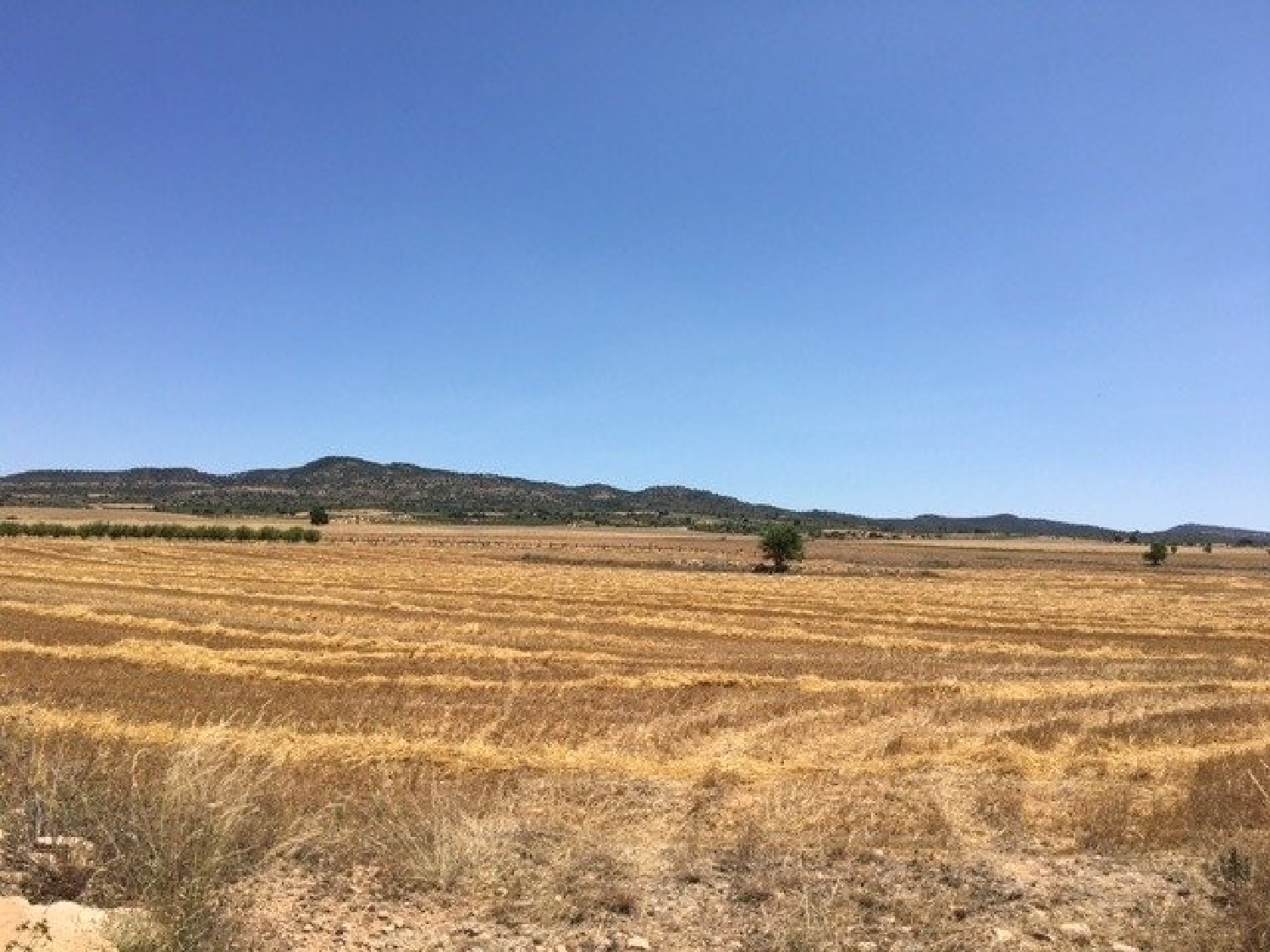 till salu tomt Almansa Monte Ibérico Almansa 3