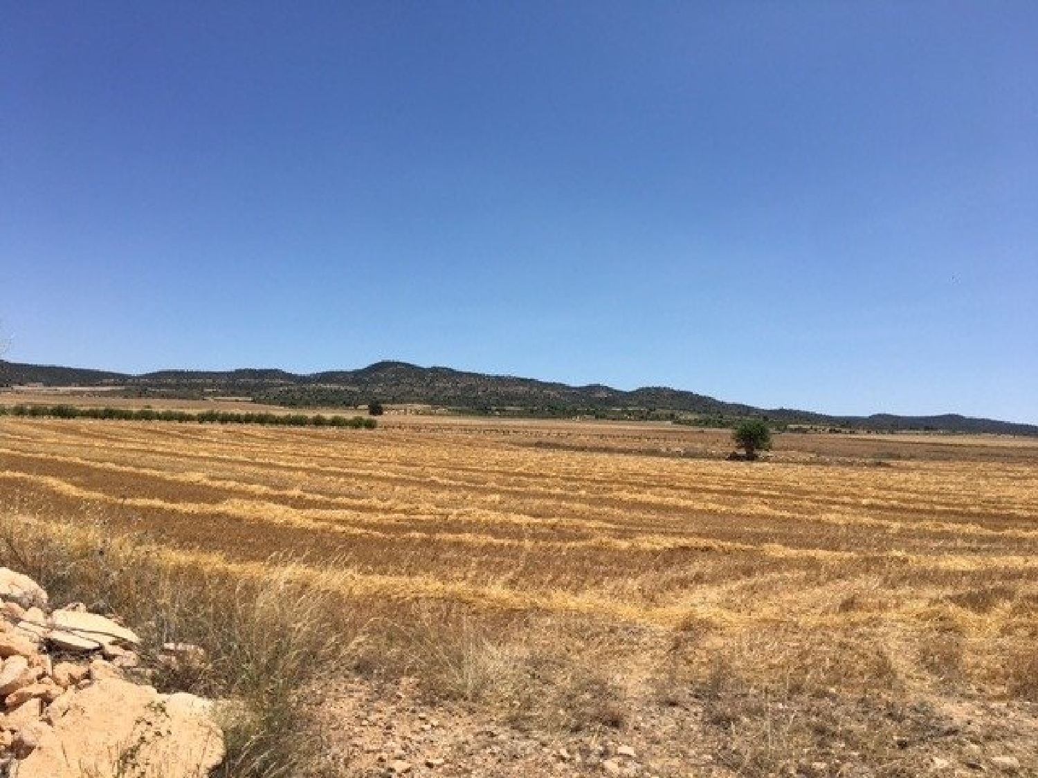  till salu tomt Almansa Monte Ibérico Almansa 4