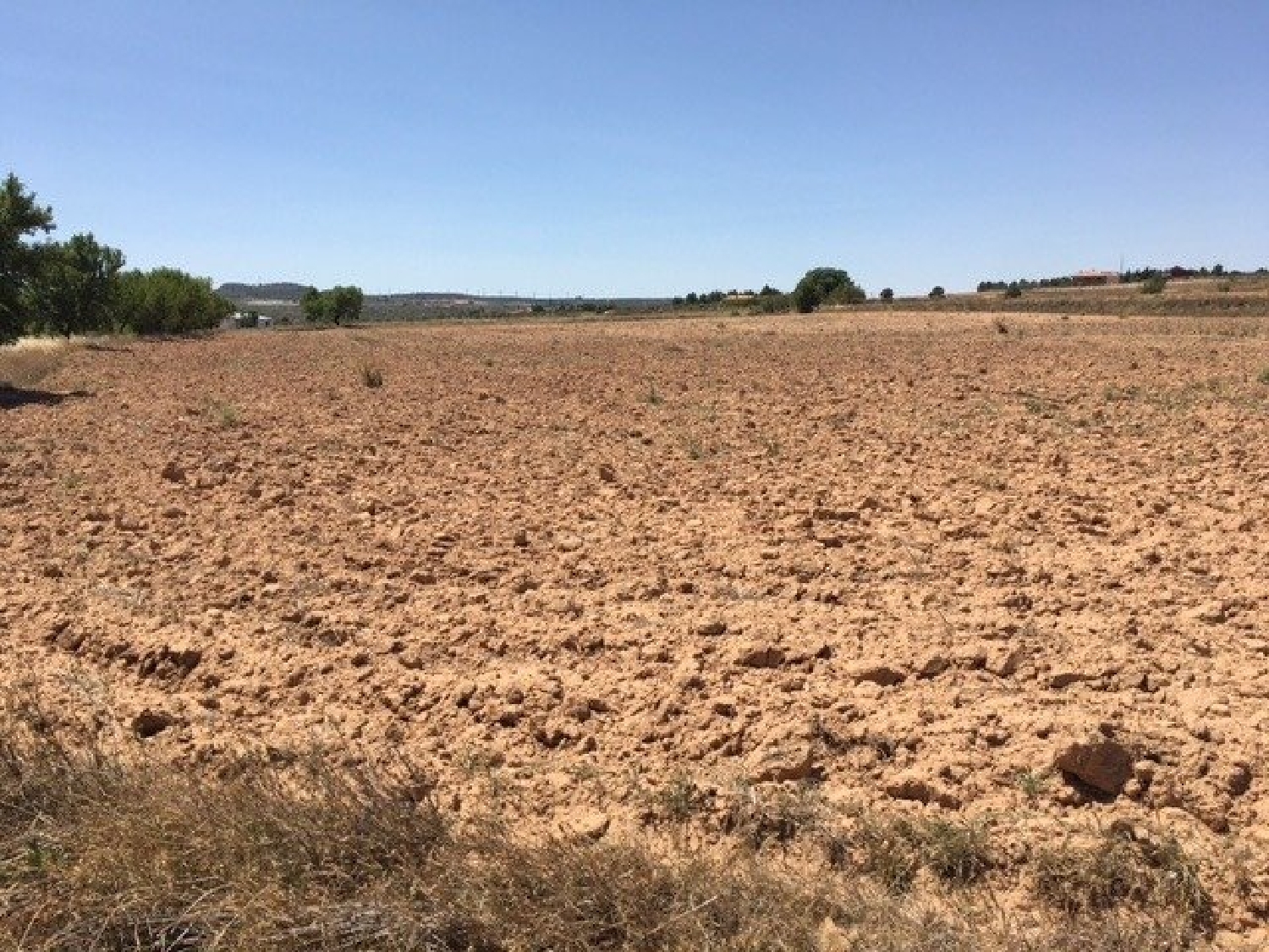  till salu tomt Almansa Monte Ibérico Almansa 4