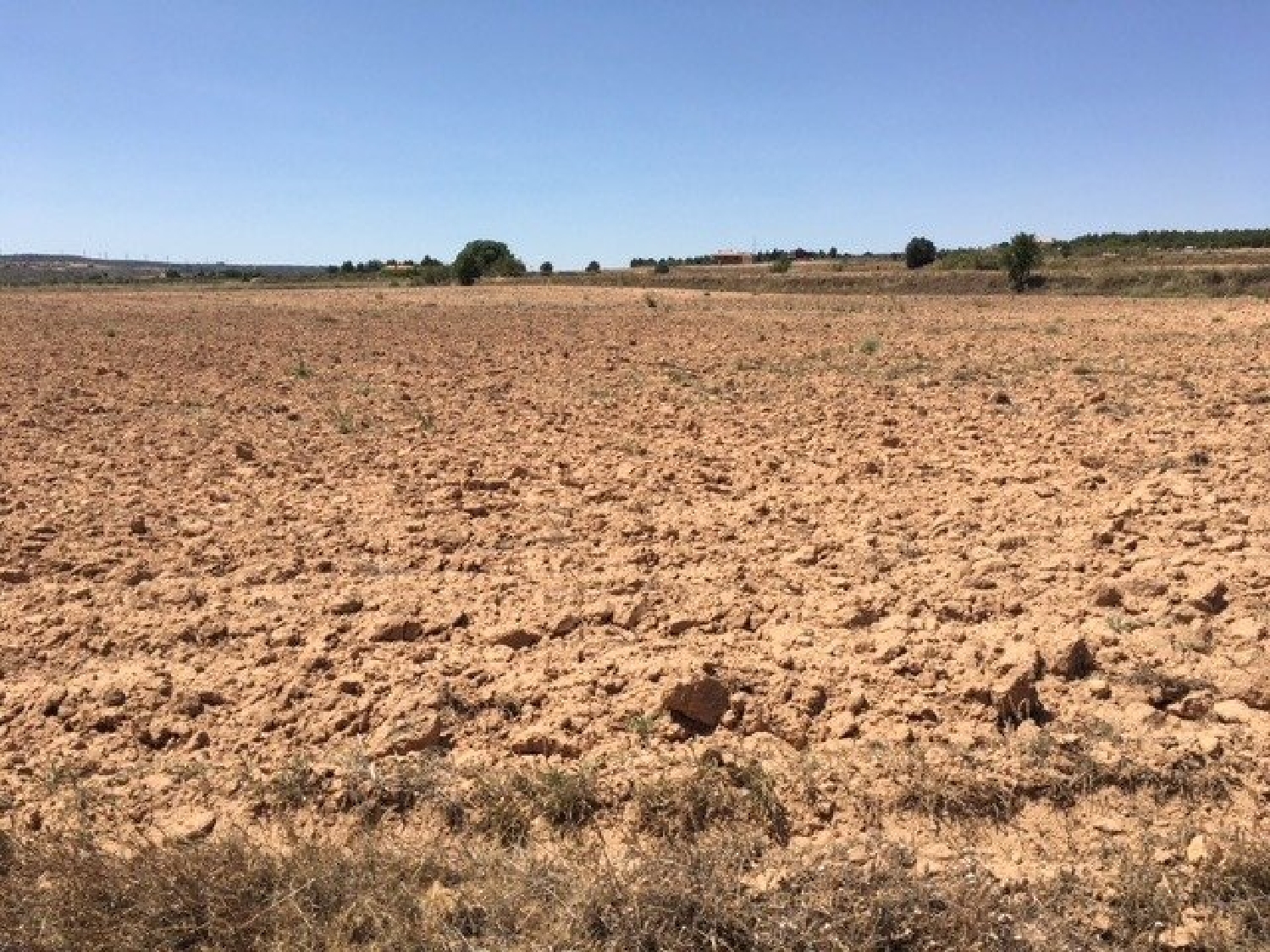 till salu tomt Almansa Monte Ibérico Almansa 3
