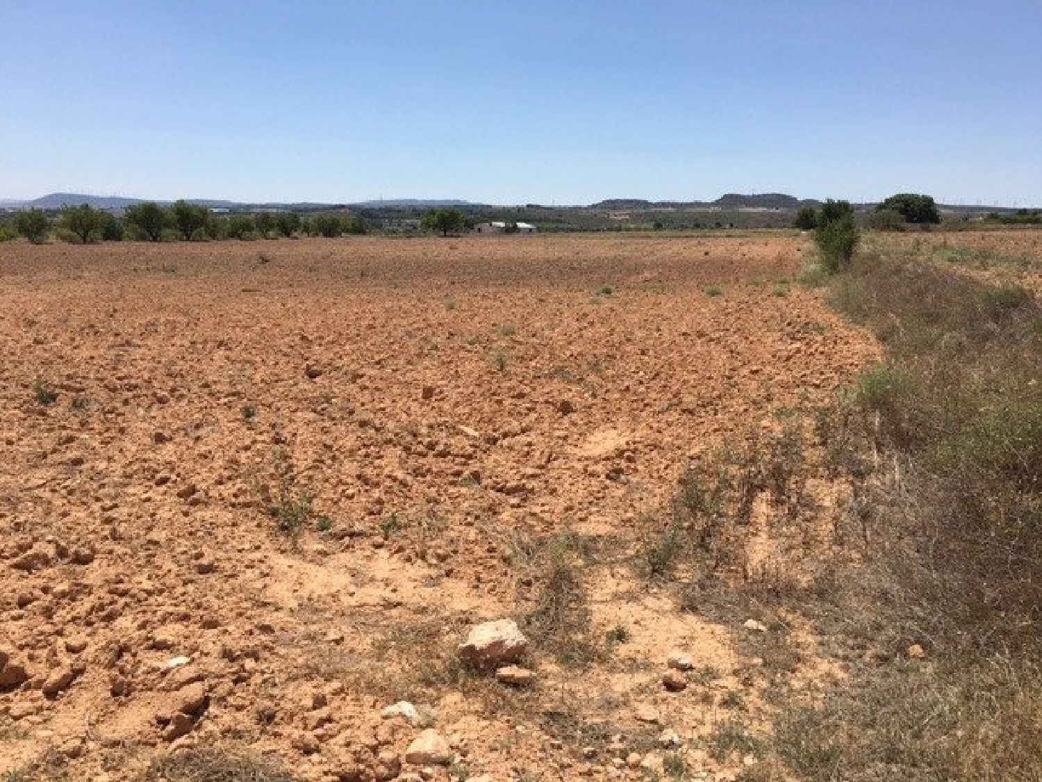  till salu tomt Almansa Monte Ibérico Almansa 5