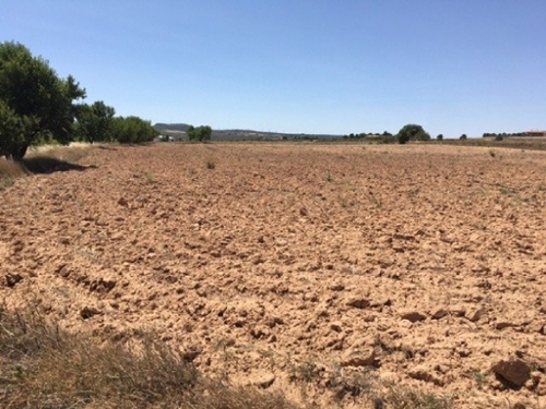 Almansa Monte Ibérico Almansa tomt foto 6255763