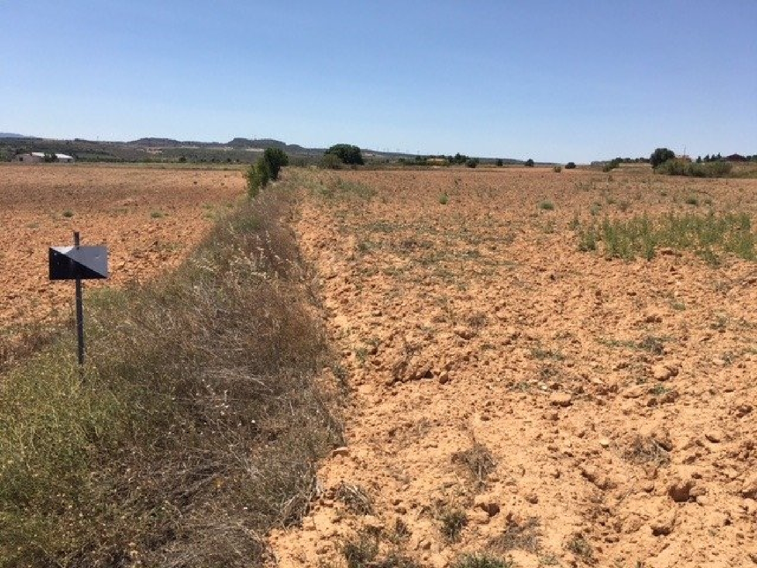 for sale plot Almansa Monte Ibérico Almansa 1