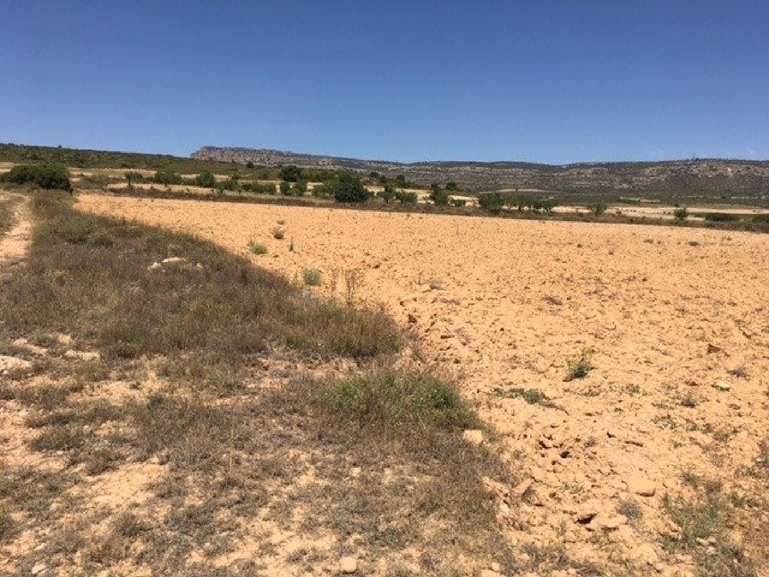  for sale plot Almansa Monte Ibérico Almansa 4