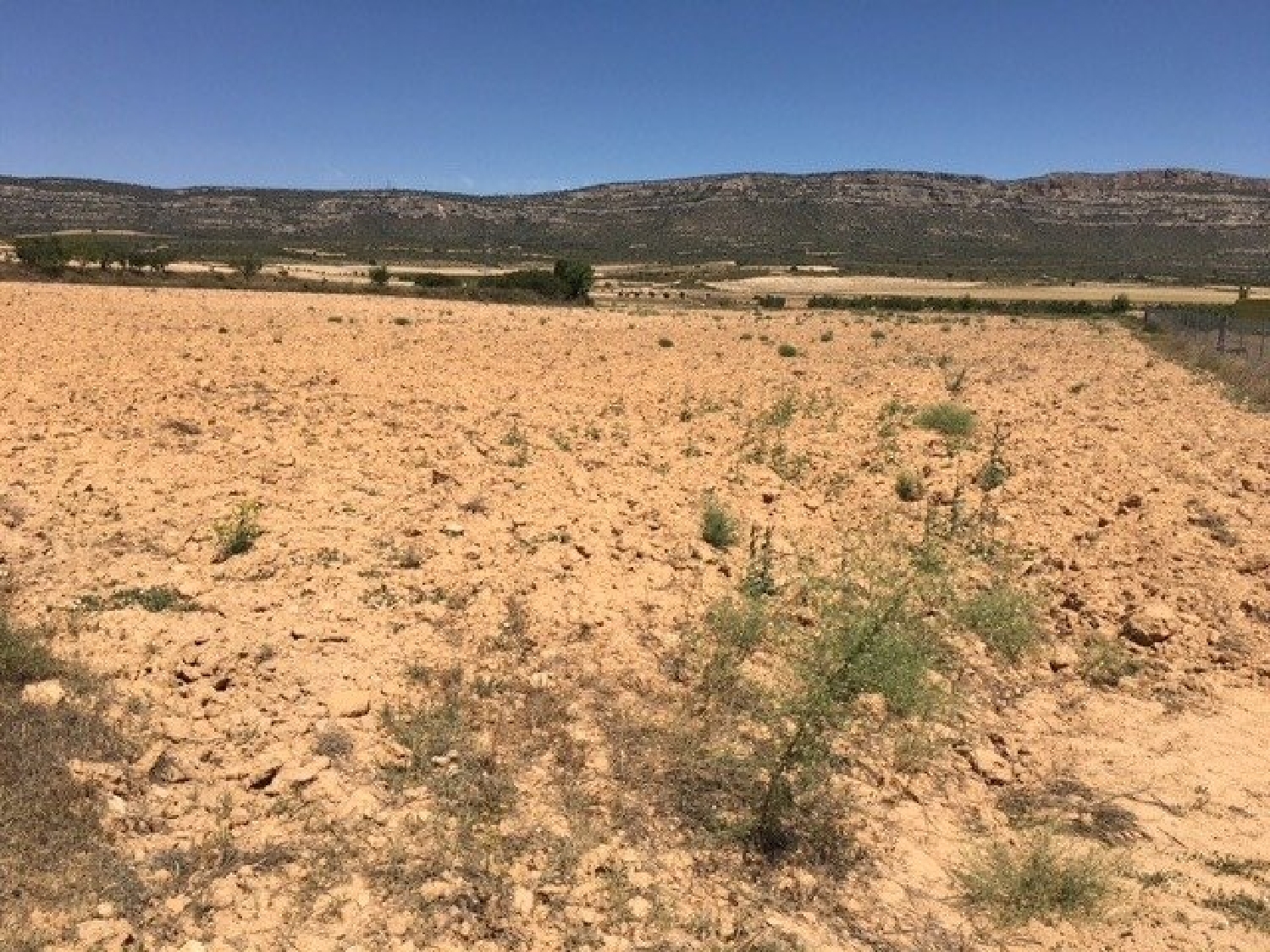  for sale plot Almansa Monte Ibérico Almansa 5