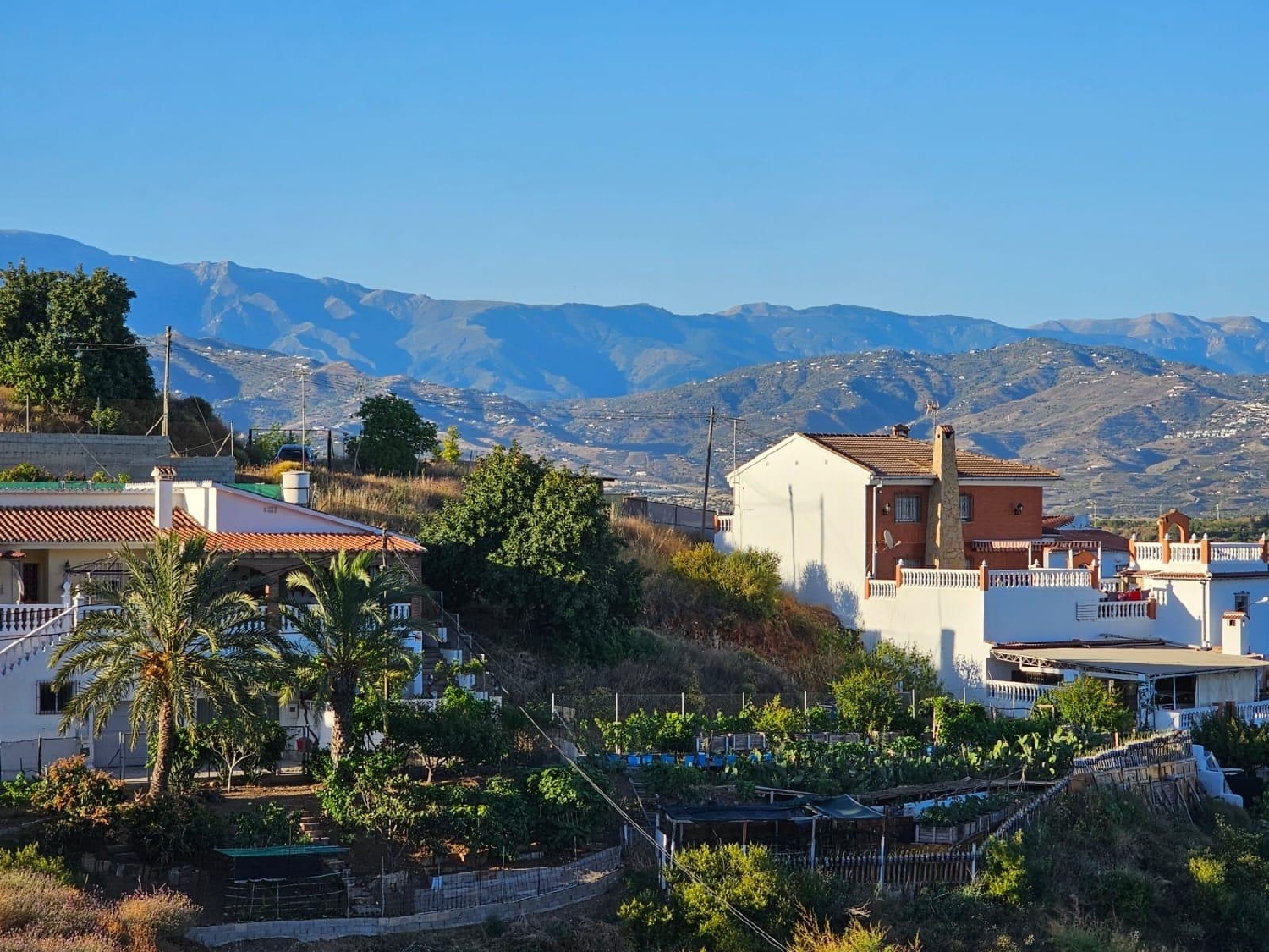  te koop perceel Almayate Alto Axarquía 7