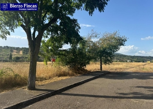 Almázcara Bierzo (El) tomt foto 6223943