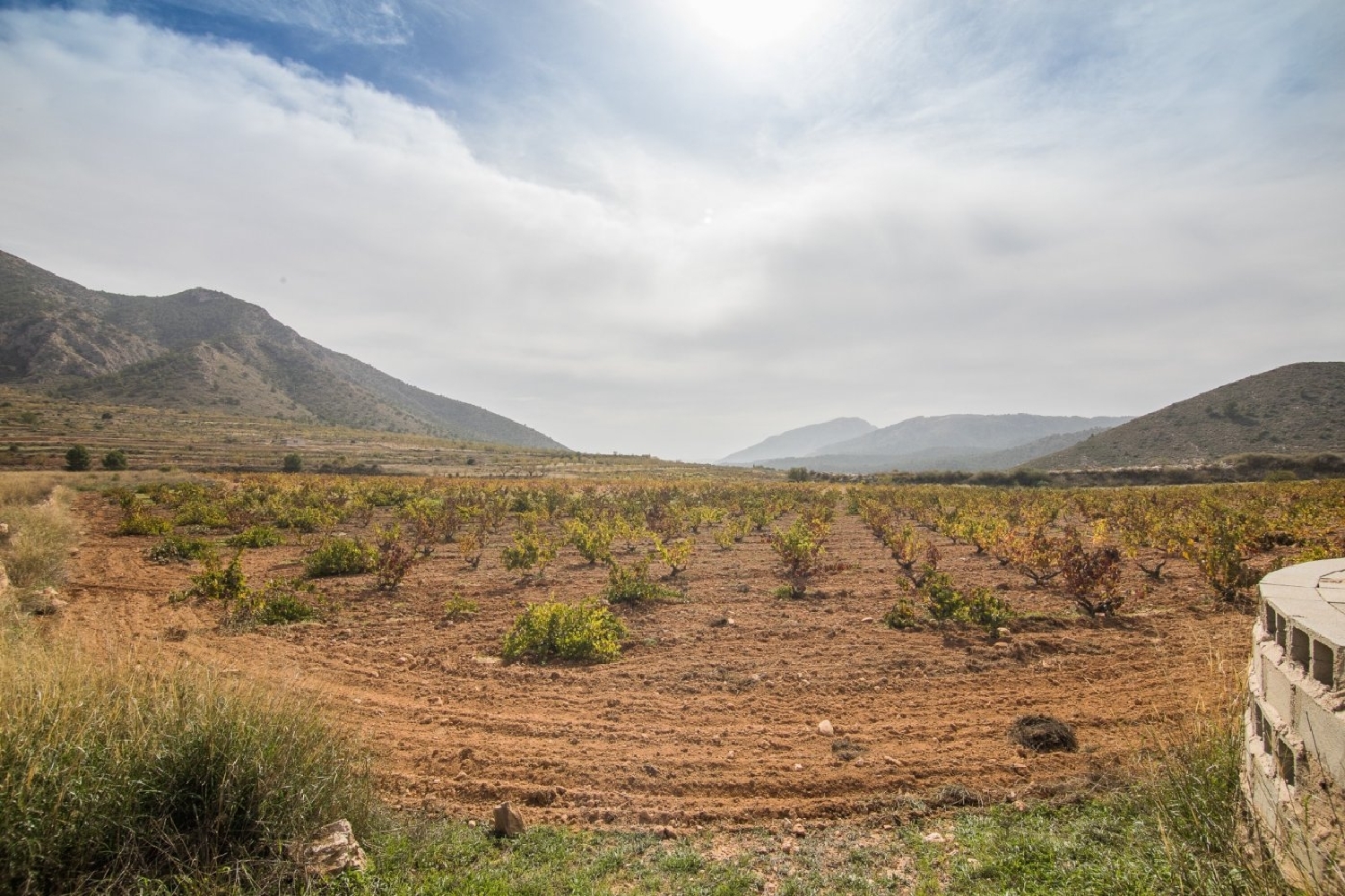  for sale plot Bayón Vinalopó Mitjà 4