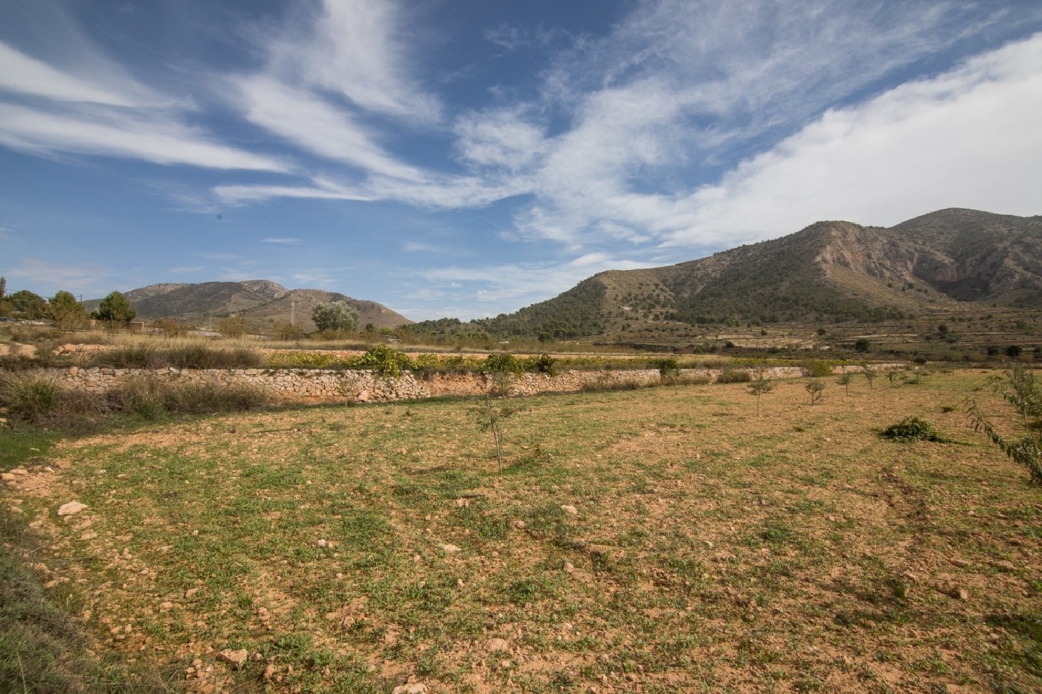  for sale plot Bayón Vinalopó Mitjà 3