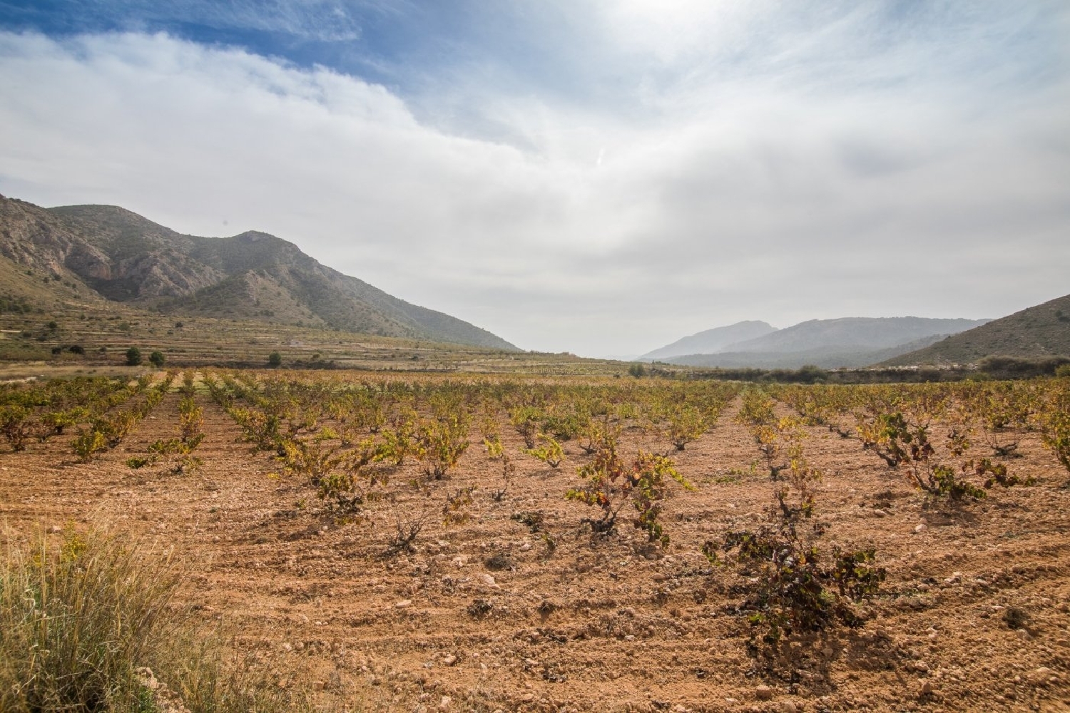  for sale plot Bayón Vinalopó Mitjà 7