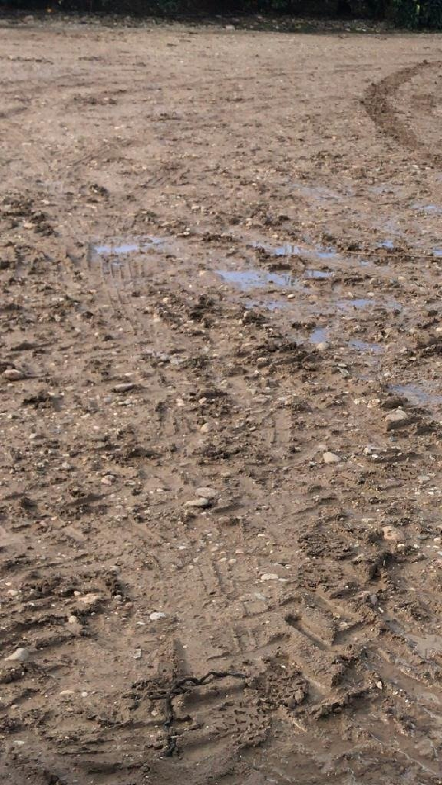 till salu tomt Los Llanos Valle Medio Del Guadalquivir 3