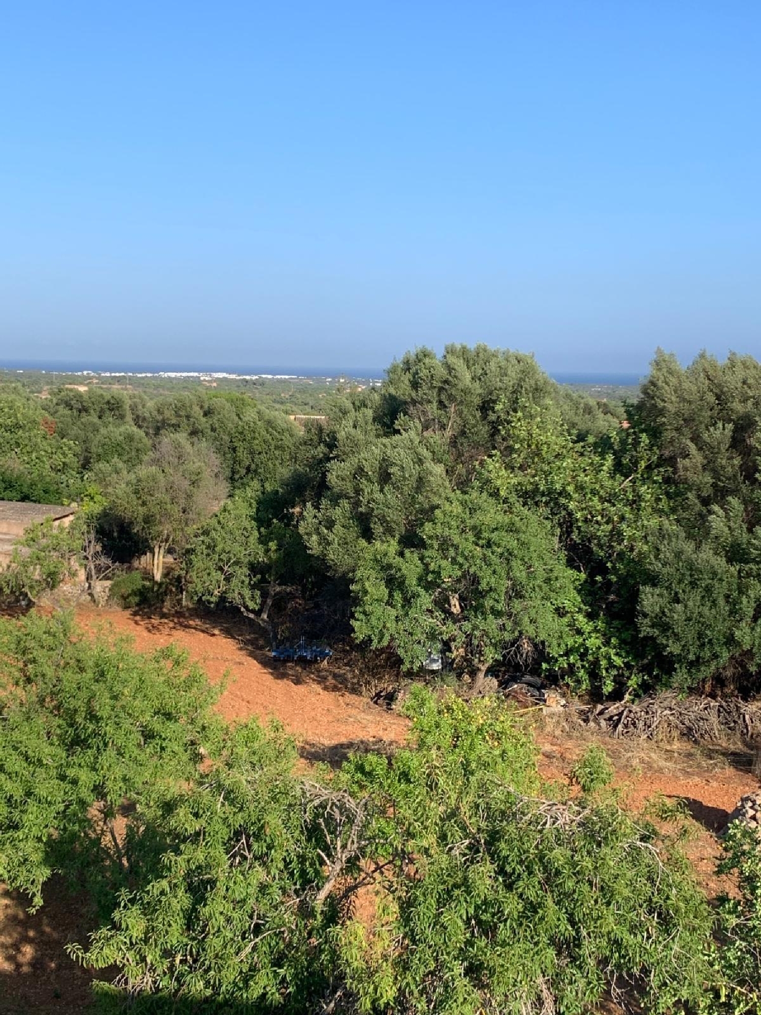  till salu tomt Alqueria Blanca Sud 5