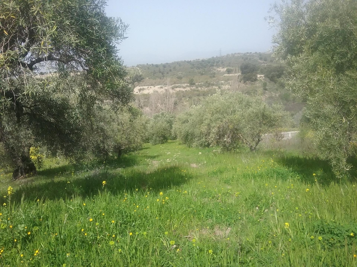  till salu tomt Alquería Del Fargue Vega De Granada 4