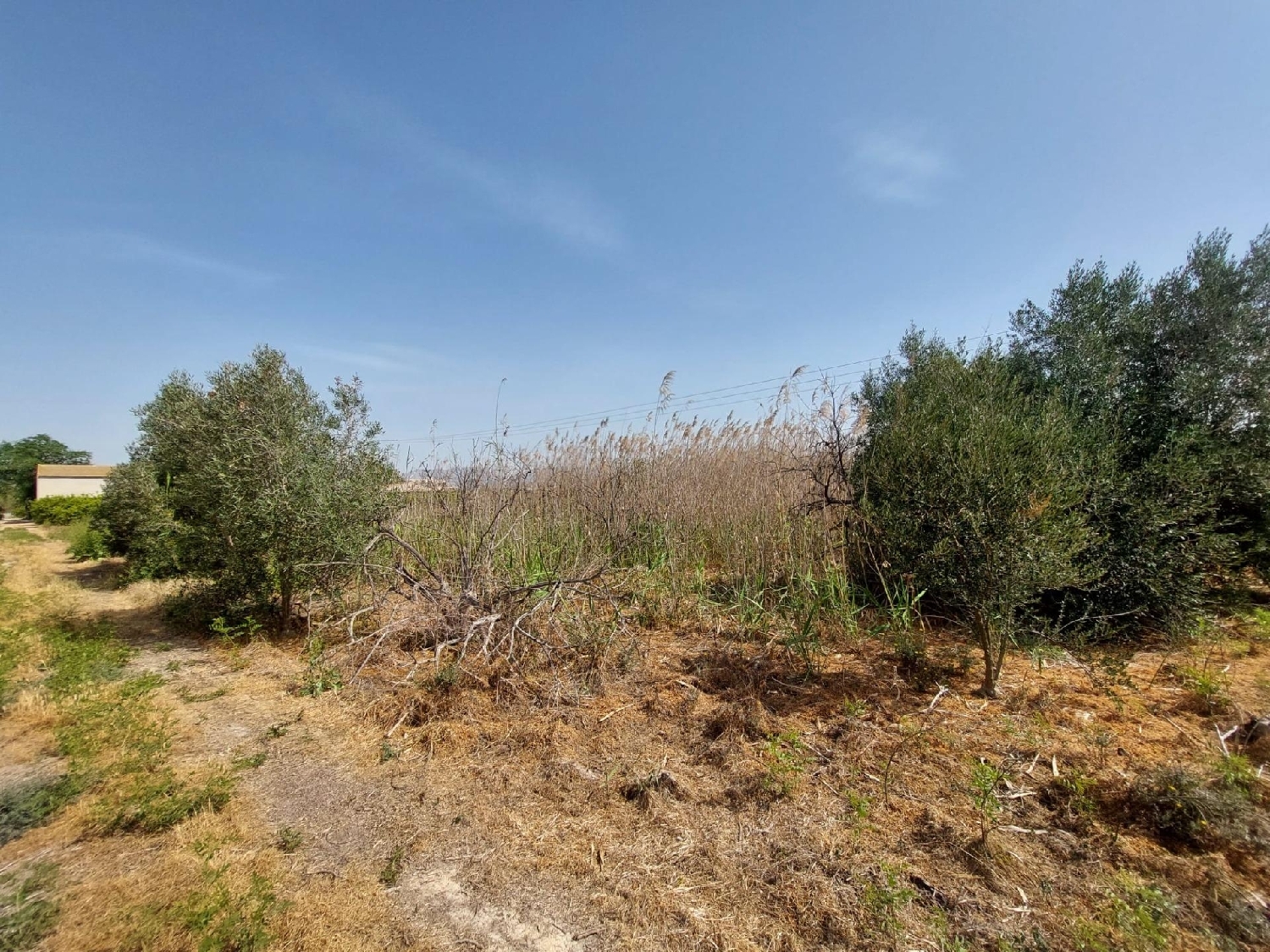 till salu tomt Alquerías Huerta De Murcia 2