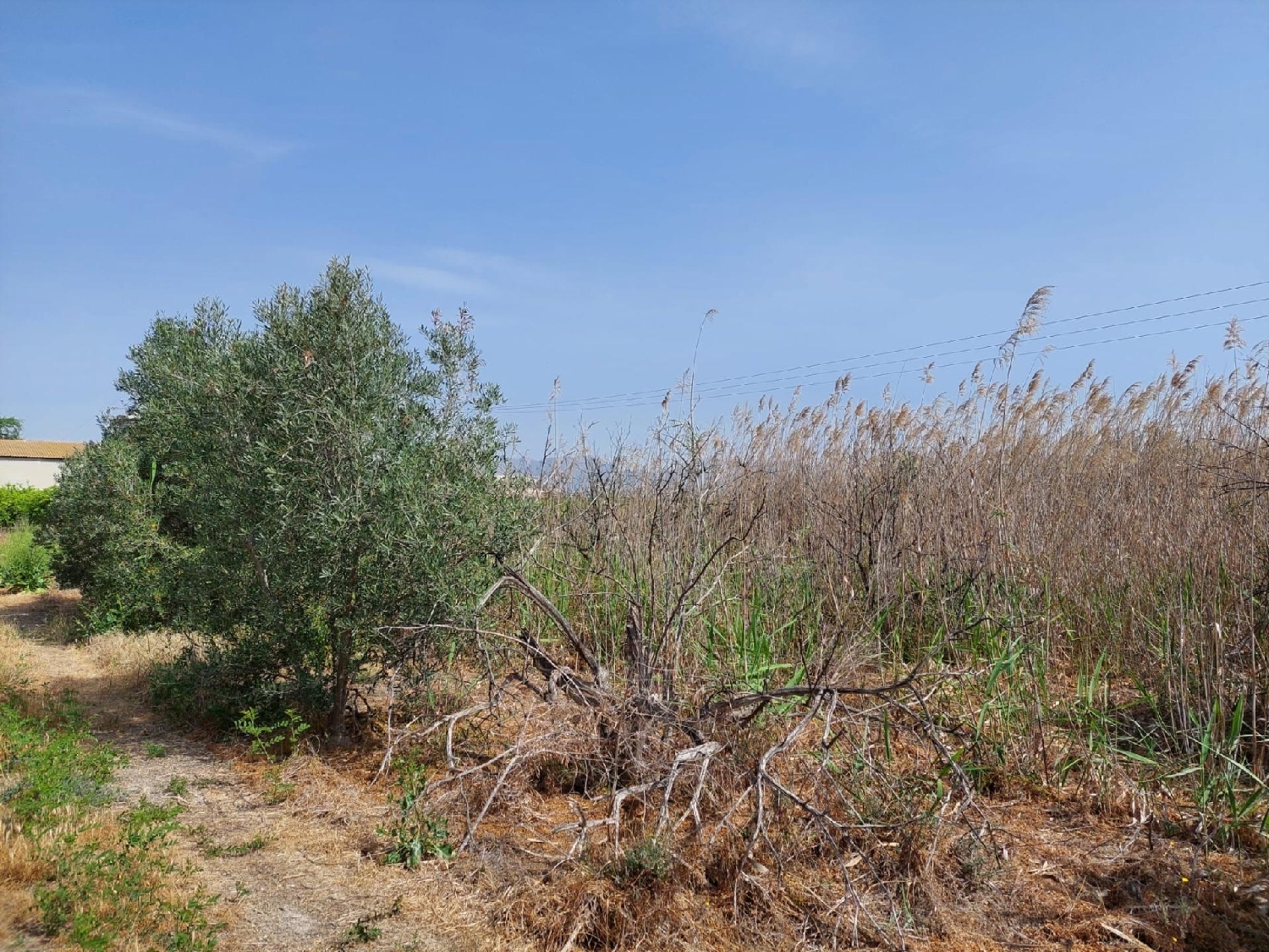 till salu tomt Alquerías Huerta De Murcia 3