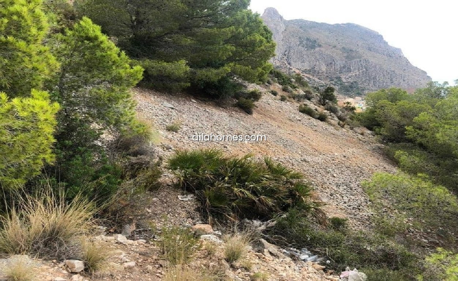  for sale plot Altea La Vella Marina Baixa 1