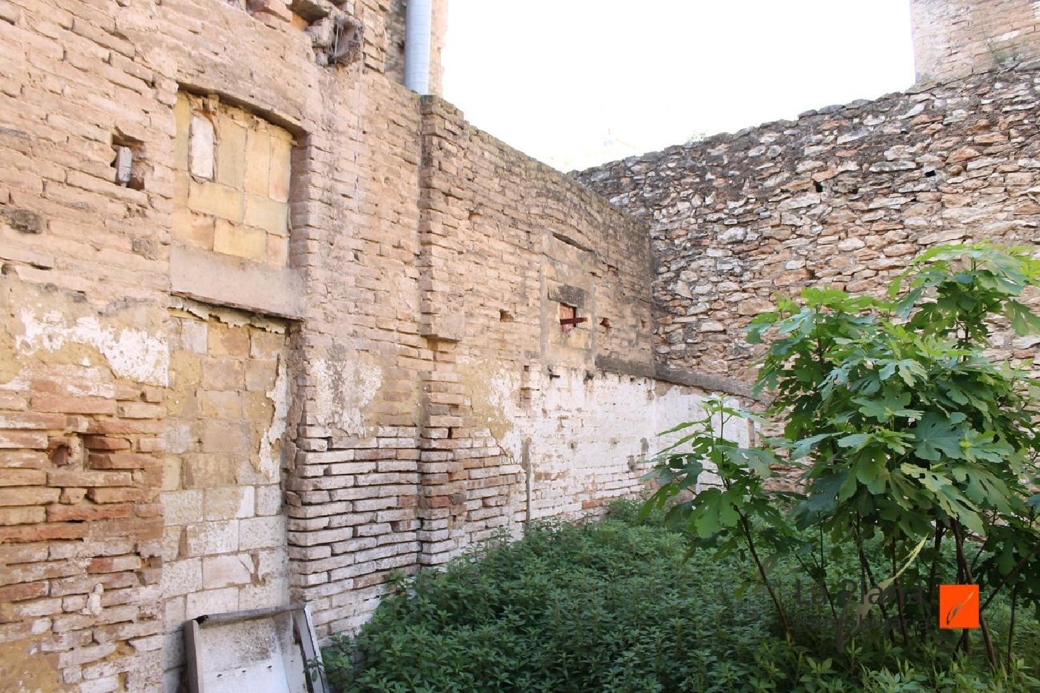  till salu tomt Eucaliptus Montsià 5