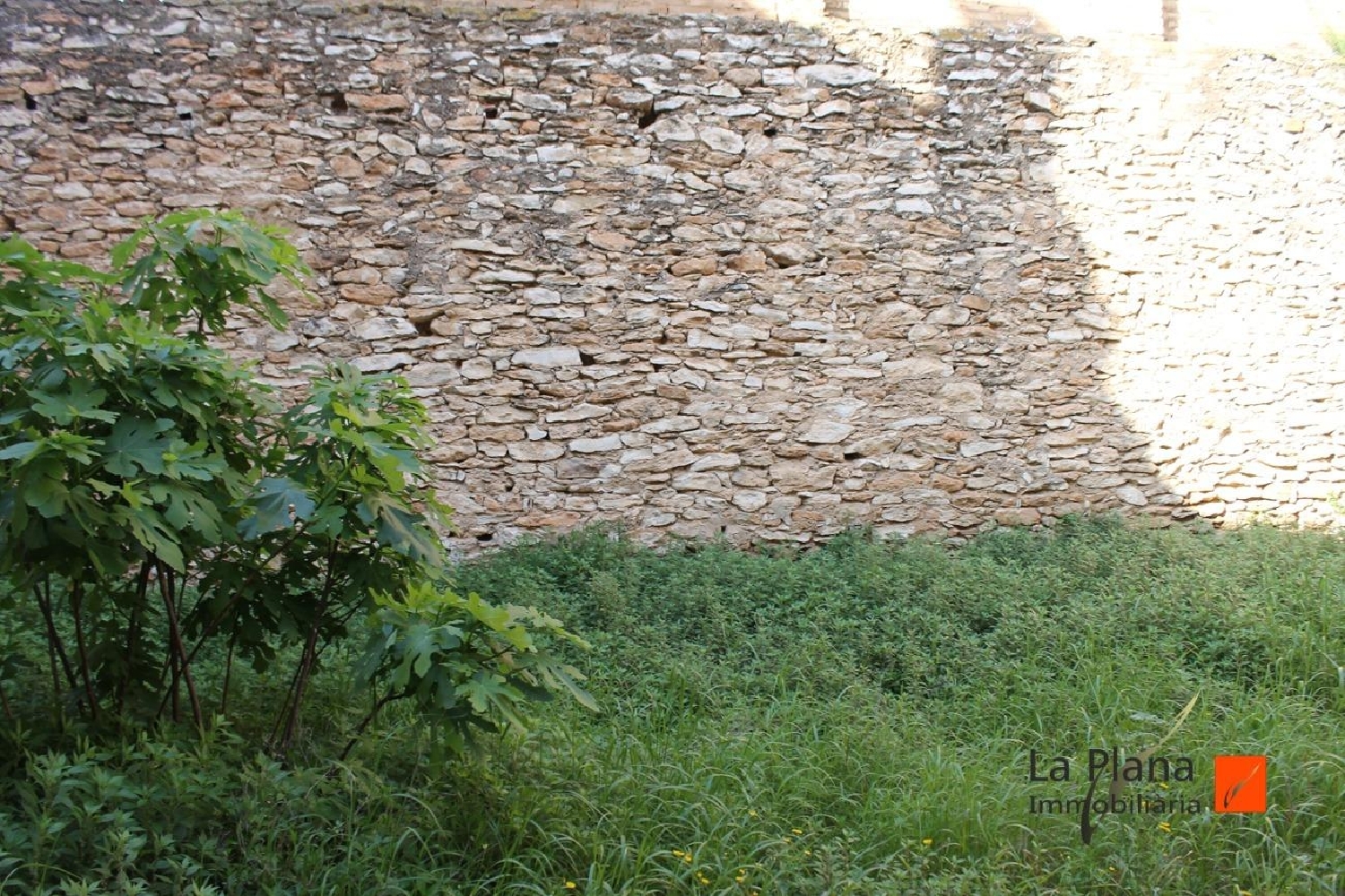 till salu tomt Eucaliptus Montsià 3