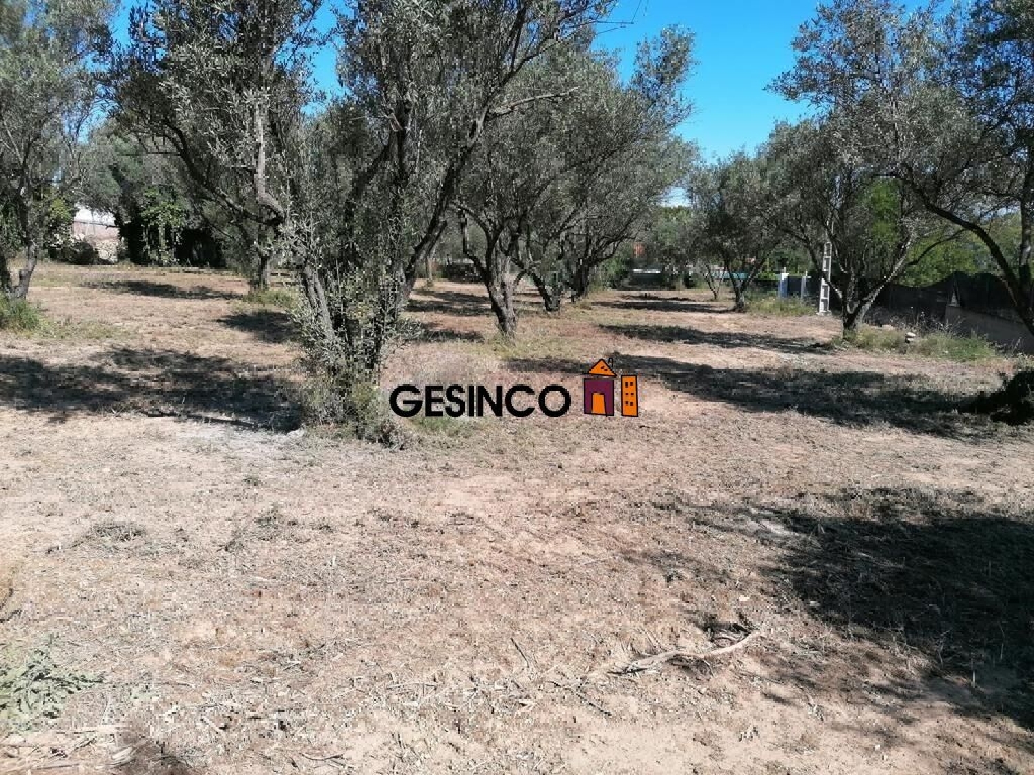  till salu tomt El Realengo Costera (La) 4
