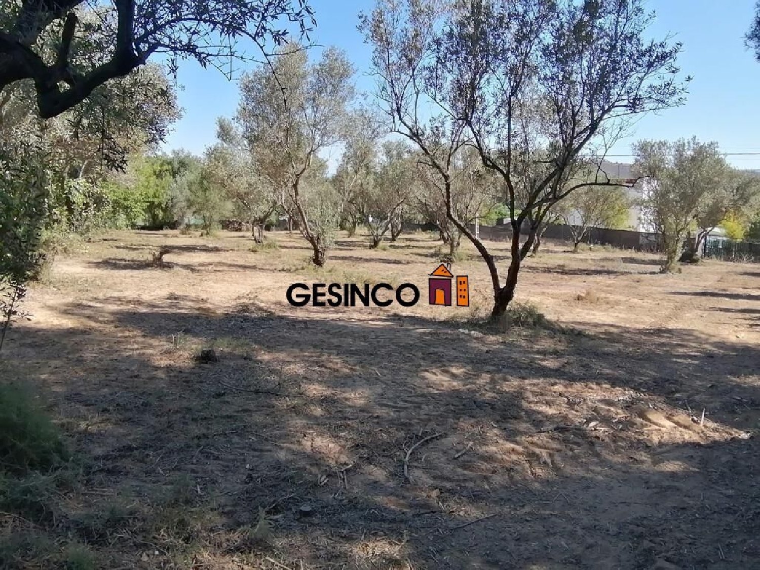  till salu tomt El Realengo Costera (La) 1