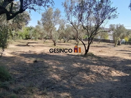El Realengo Costera (La) tomt foto 6233307