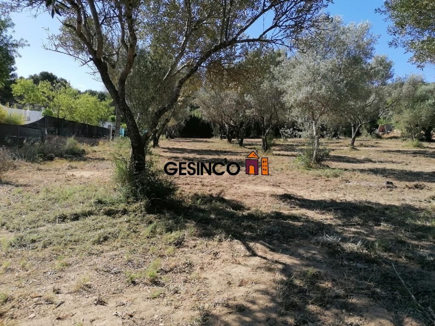  till salu tomt El Realengo Costera (La) 5